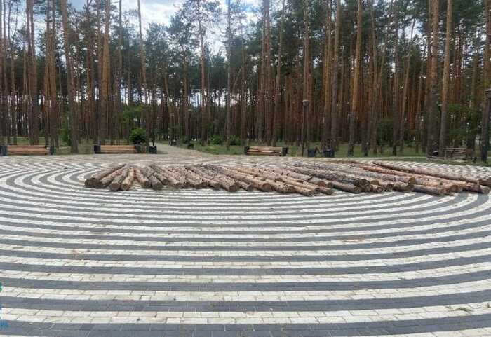 Ексголову військової адміністрації на Київщині підозрюють у незаконній вирубці лісу на понад 600 тисяч гривень